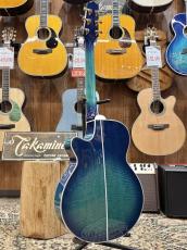 Takamine FPT181AC -SBB- #62050414【アーチトップボディ】_10