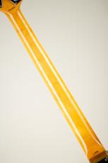 BEE WING Standard 5-Strings / ALDER / GOLD_7