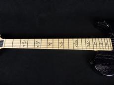 Paul Reed Smith [PRS] NF53 Black Doghair 2024_4