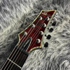 SCHECTER Hellraiser C-7 BCH_5