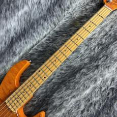 Edwards E-AM-160QM  Amber_4
