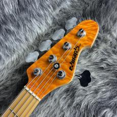Edwards E-AM-160QM  Amber_5