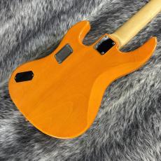 Edwards E-AM-160QM  Amber_6