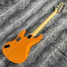 Edwards E-AM-160QM  Amber_7