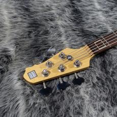 Minamo Guitars W9 Type J 5string_4