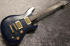 Altero Custom Guitars 【ボーナスセール】15th Anniversary Limited Vuoto Bolt-On Arched Maple Burl Top/Honduras Mahogany_2