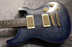 Altero Custom Guitars 【ボーナスセール】15th Anniversary Limited Vuoto Bolt-On Arched Maple Burl Top/Honduras Mahogany_5