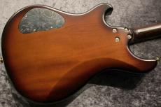 Altero Custom Guitars 【ボーナスセール】15th Anniversary Limited Vuoto Bolt-On Arched Maple Burl Top/Honduras Mahogany_11