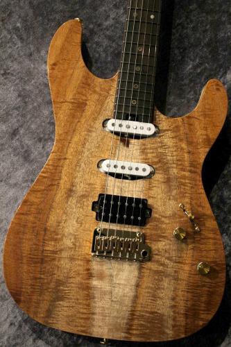 Altero Custom Guitars 【ボーナスセール】15th Anniversary Limited Astra Custom Hawaiian Koa Top 【ハカランダネック】
