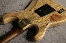 Altero Custom Guitars 【ボーナスセール】15th Anniversary Limited Astra Custom Hawaiian Koa Top 【ハカランダネック】_7