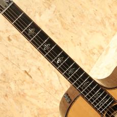 Taylor 912ce 12Fret V-Class 2021_6