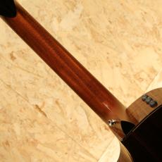 Taylor 912ce 12Fret V-Class 2021_7