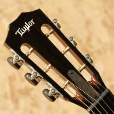 Taylor 912ce 12Fret V-Class 2021_8