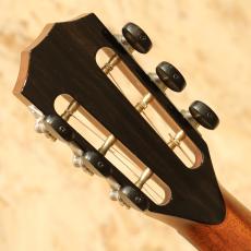 Taylor 912ce 12Fret V-Class 2021_9