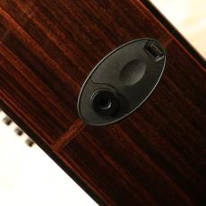 Taylor 912ce 12Fret V-Class 2021_10