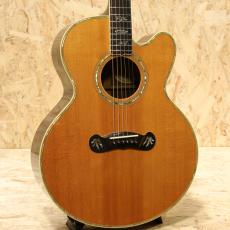Gibson J-2000RW 1991