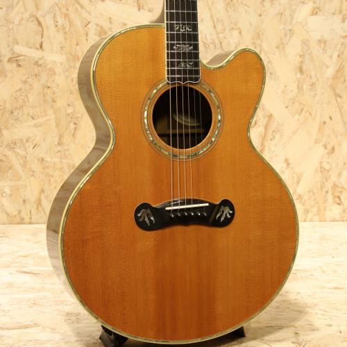 Gibson J-2000RW 1991