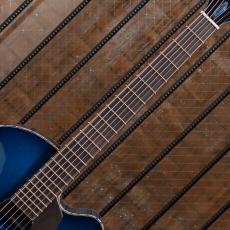 Beauregard Guitars(Mario Beauregard) 16" Archtop "Blue Gold Leaf"_7