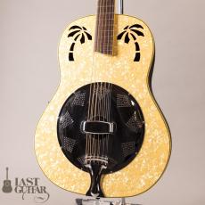 Ovation Celebrity Resonator CD100-WP_2