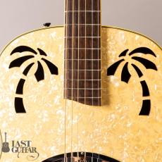 Ovation Celebrity Resonator CD100-WP_4