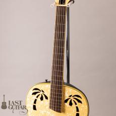 Ovation Celebrity Resonator CD100-WP_5