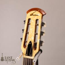 Ovation Celebrity Resonator CD100-WP_6
