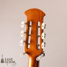 Ovation Celebrity Resonator CD100-WP_7