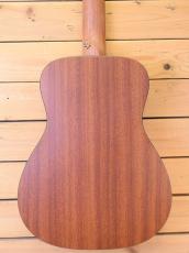 Martin LMX/Little Martin_5