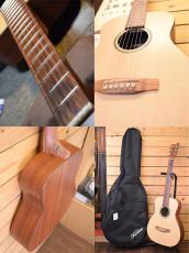 Martin LMX/Little Martin_6