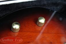 SCHECTER Precision Bass Type_9
