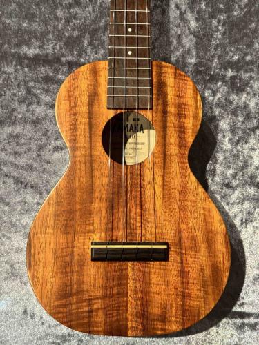 Kamaka HF-2 【2023年製】【日本総本店アコ】