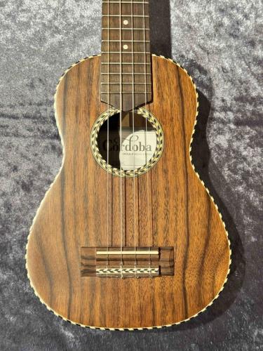 Cordoba 25SK【アカシア】【日本総本店アコ】