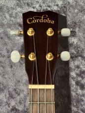 Cordoba 25SK【アカシア】【日本総本店アコ】_3