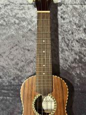 Cordoba 25SK【アカシア】【日本総本店アコ】_4