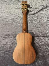 Cordoba 25SK【アカシア】【日本総本店アコ】_5