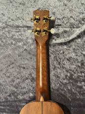 Cordoba 25SK【アカシア】【日本総本店アコ】_6