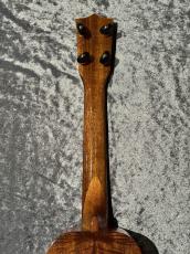 Ceniza Bell Shape Long Neck【ベルシェイプ】【日本総本店アコ】_8