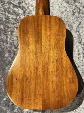 Ceniza Bell Shape Long Neck【ベルシェイプ】【日本総本店アコ】_6