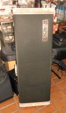 SCHECTER Custom order _8