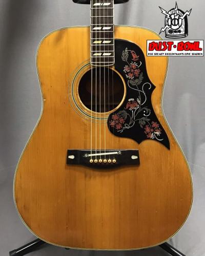 YAMAHA FG-401W