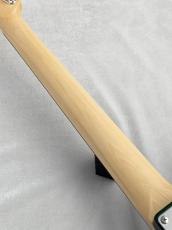 FUJIGEN Neo Classic Series NTE100RAL-CAG ~Candy Apple Green~ #B250073【3.52kg】_8