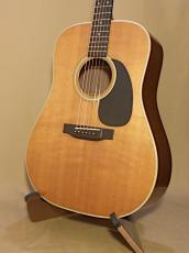 Martin D-28_2