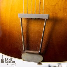 Hofner Congress Modify_3