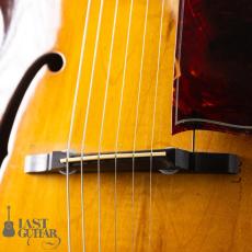 Hofner Congress Modify_4