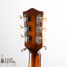 Hofner Congress Modify_9