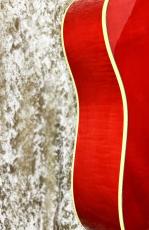 Gibson 2021 DOVE ORIGINAL _6