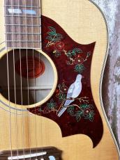 Gibson 2021 DOVE ORIGINAL _7