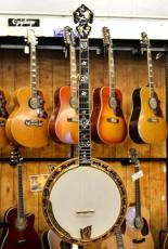 Ome Grand Artist Hummingbird Custom_2