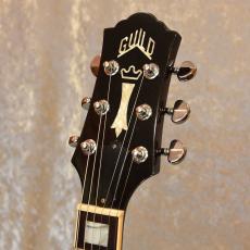 Guild Bluesbird_3