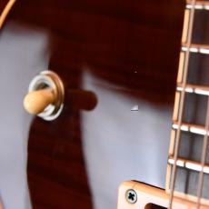 Guild Bluesbird_6